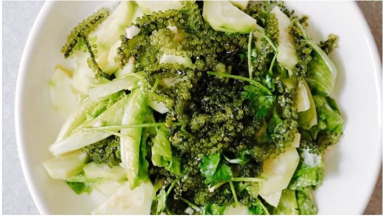 Cách ăn rong nho bằng cách chế biến salad rong nho, gỏi rong nho
