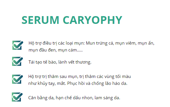 Công dụng của Serum trị mụn Caryophy